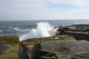 Acadia: Wave at Schoodic Point