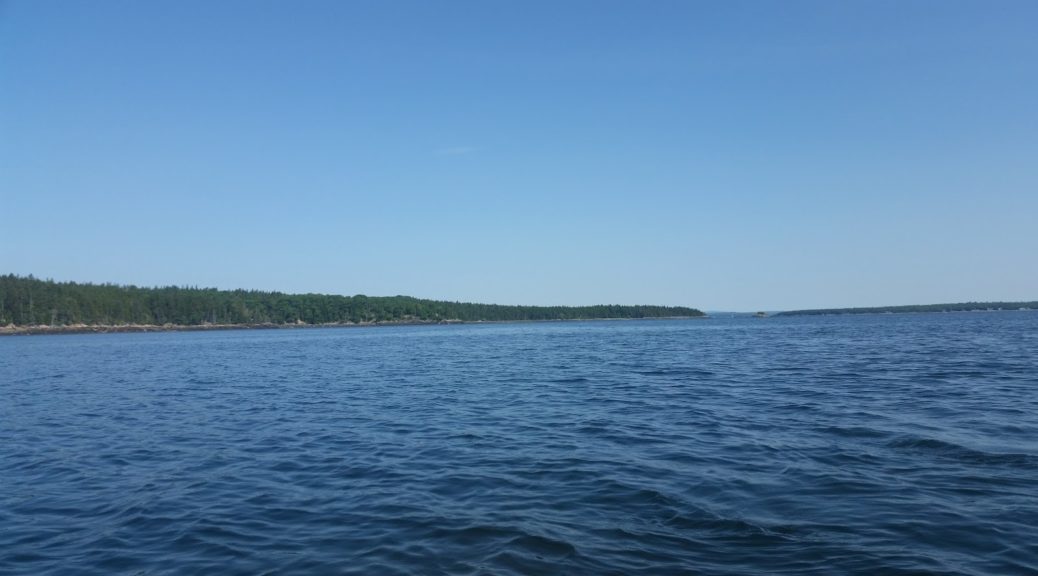 Acadia: Ocean view while Kayaking
