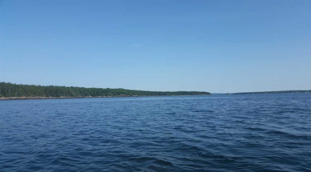 Acadia: Ocean view while Kayaking