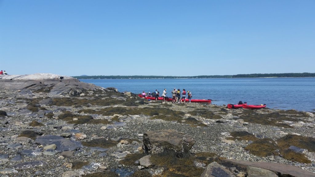 Acadia: Break point at Indian Point