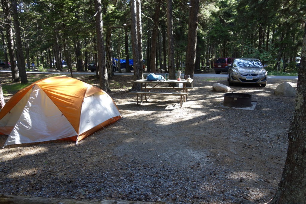 Acadia: Blackwoods Campground Site Back