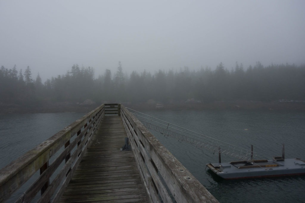 Acadia: Duck Harbor Landing Fog