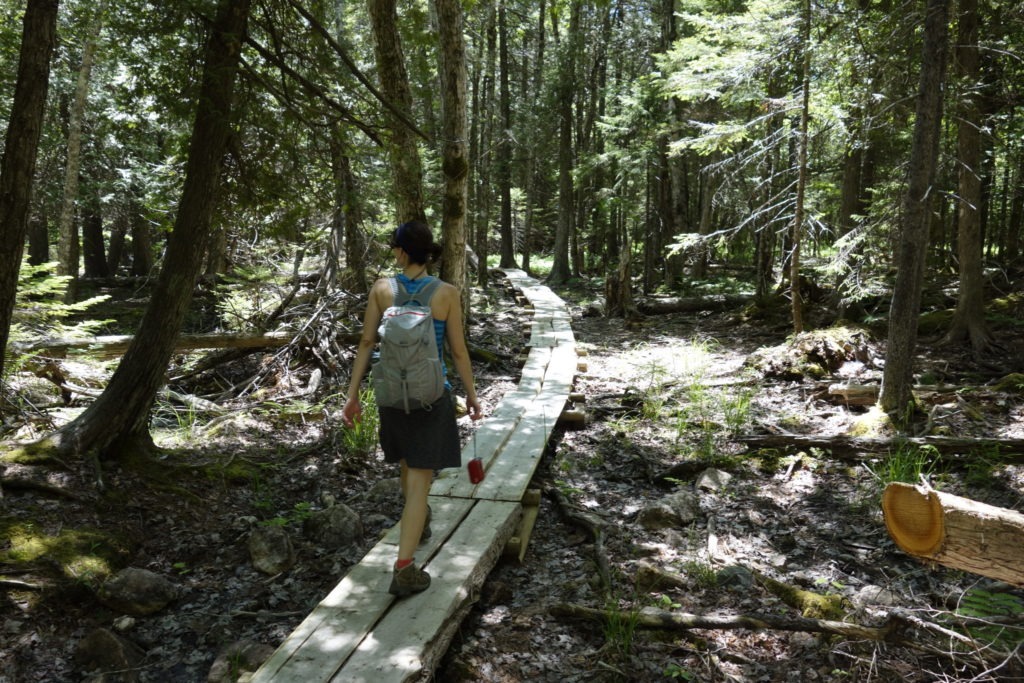 Acadia: K on boardwalk near Jordan Stream Path