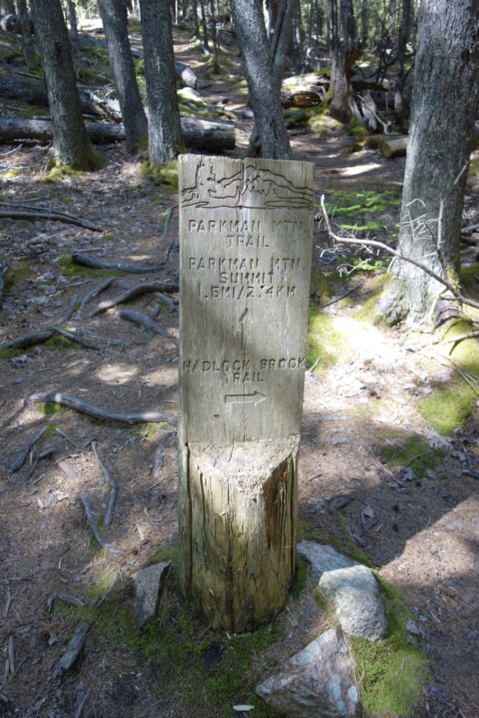 Acadia: Hadlock Brook Trailhead