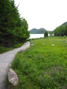 Acadia: Path to Jordan Pond