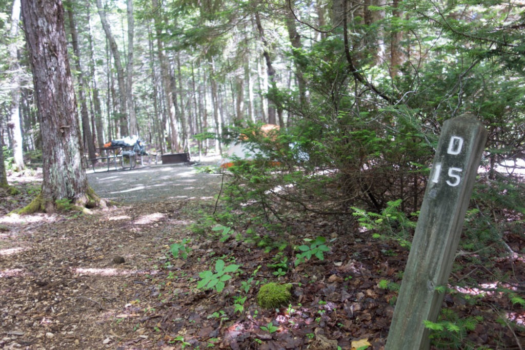 Acadia: Seawall Campground Site D15