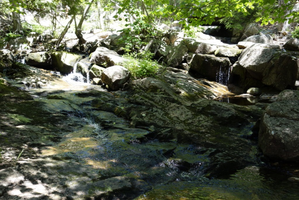Acadia: Small waterfalls on Jordan Stream