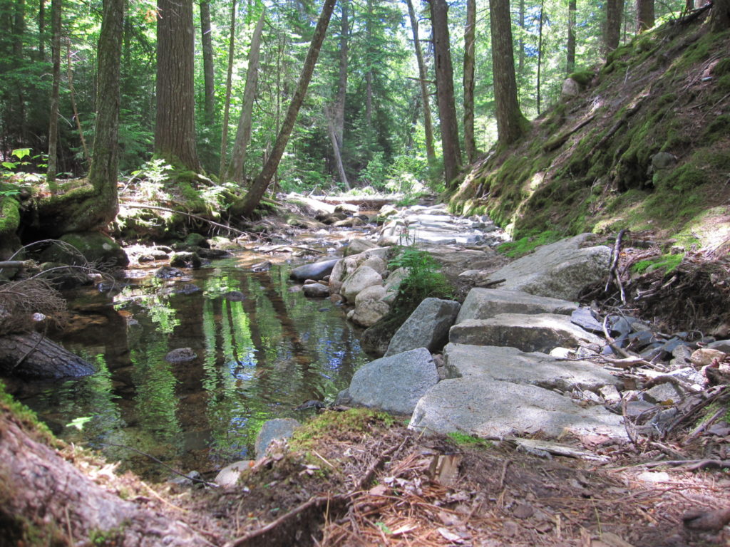 Acadia: Stone path by Jordan Stream