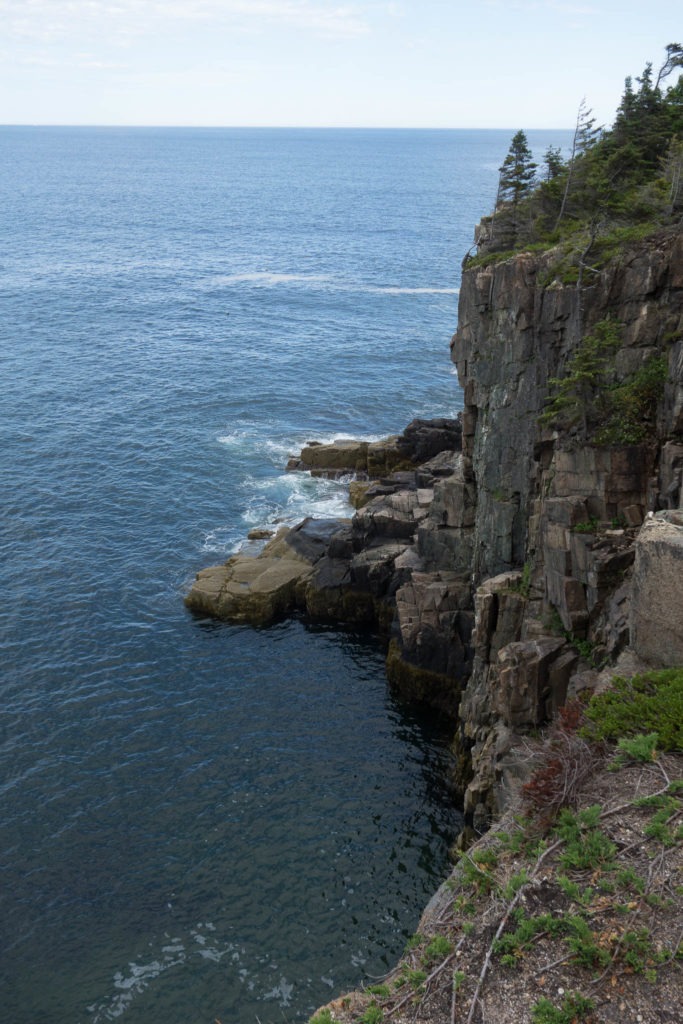 Acadia: Ocean Path Cliff