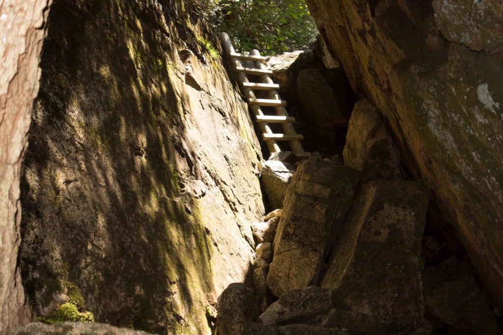 Acadia: Ravine Ladder on Pemetic Northwest Trail