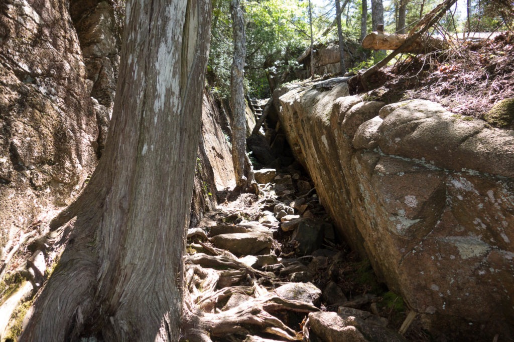 Acadia: Pemetic Northwest Ravine Path