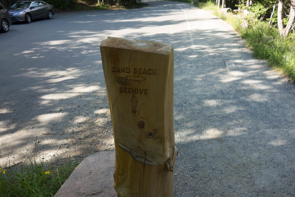 Acadia: Sign at end of Ocean Path