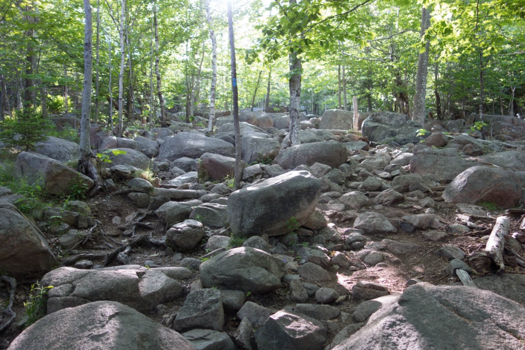 Acadia: Start of Beehive Trail