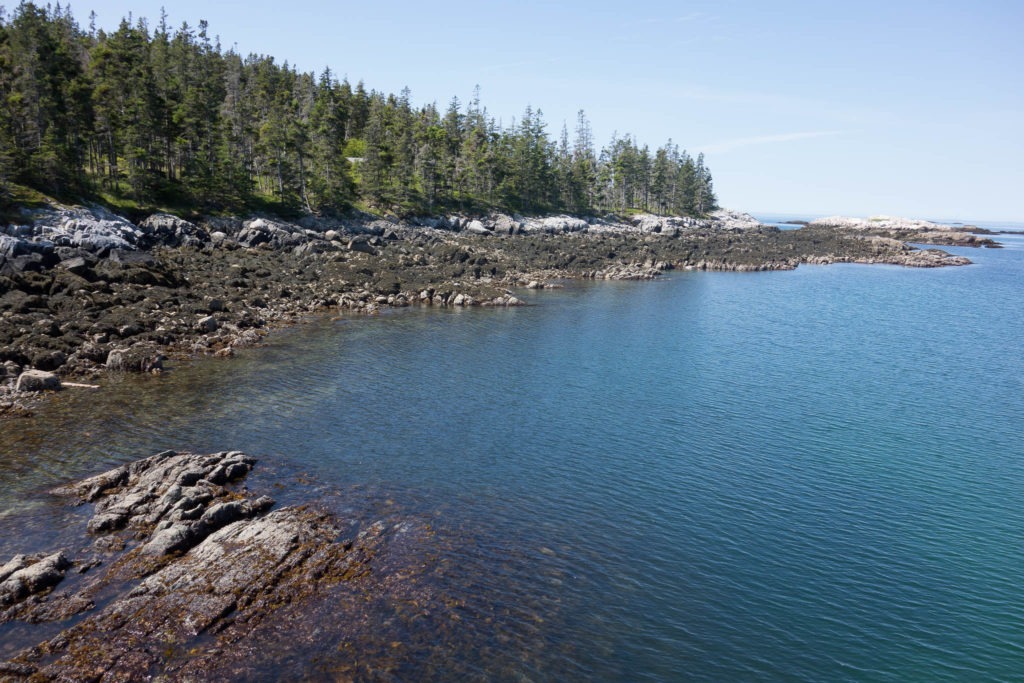 Acadia: Duck Harbor Campground Coastline
