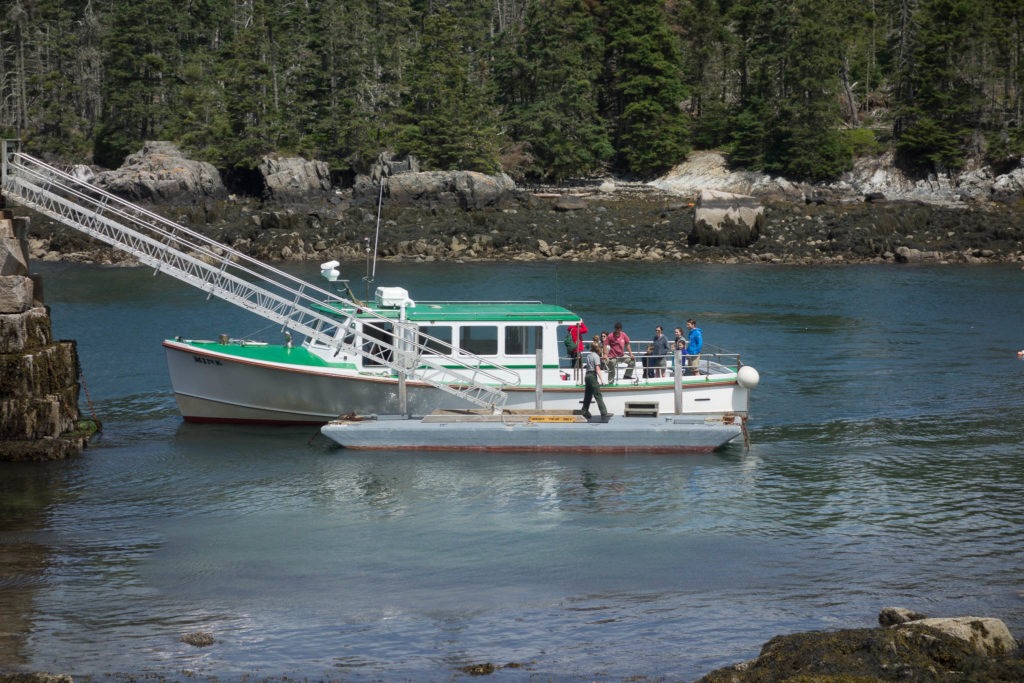 Acadia: Meeting Campers at Duck Harbor