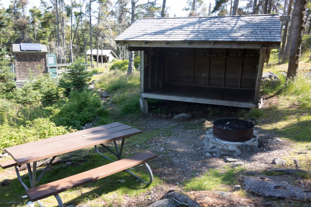 Acadia: Duck Harbor Campground Site 2
