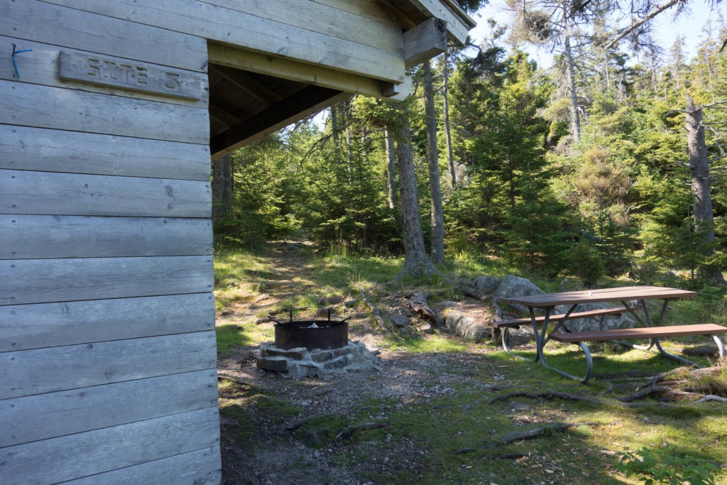 Acadia: Duck Harbor Campground Site 3 Side View