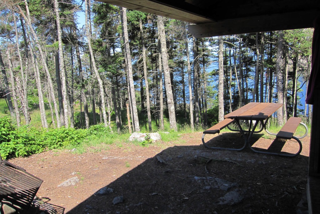 Acadia: Duck Harbor Campground Site 4 View