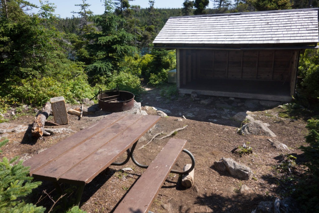 Acadia: Duck Harbor Campground Site 5
