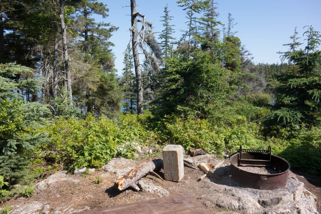 Acadia: Duck Harbor Campground Site 5 View