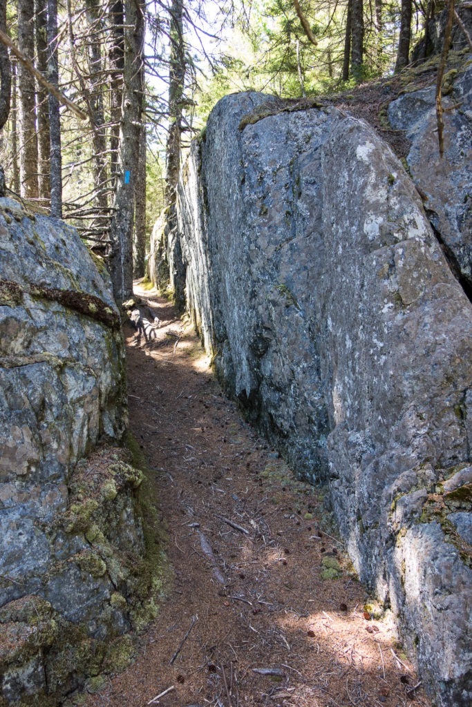 Acadia: Narrow spot between rocks on Duck Harbor Mountain Trail