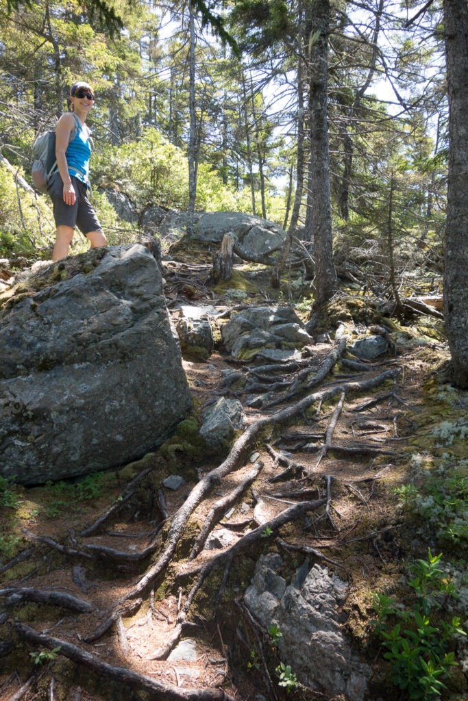 Acadia: Start of Duck Harbor Mountain Trail