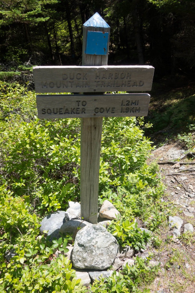 Acadia: Duck Harbor Mountain Trail Sign