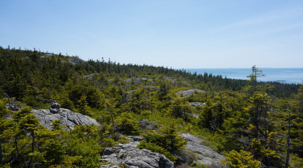 Acadia: View from Duck Harbor Mountain