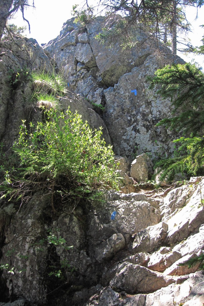 Acadia: Duck Harbor Mountain Rock Scramble