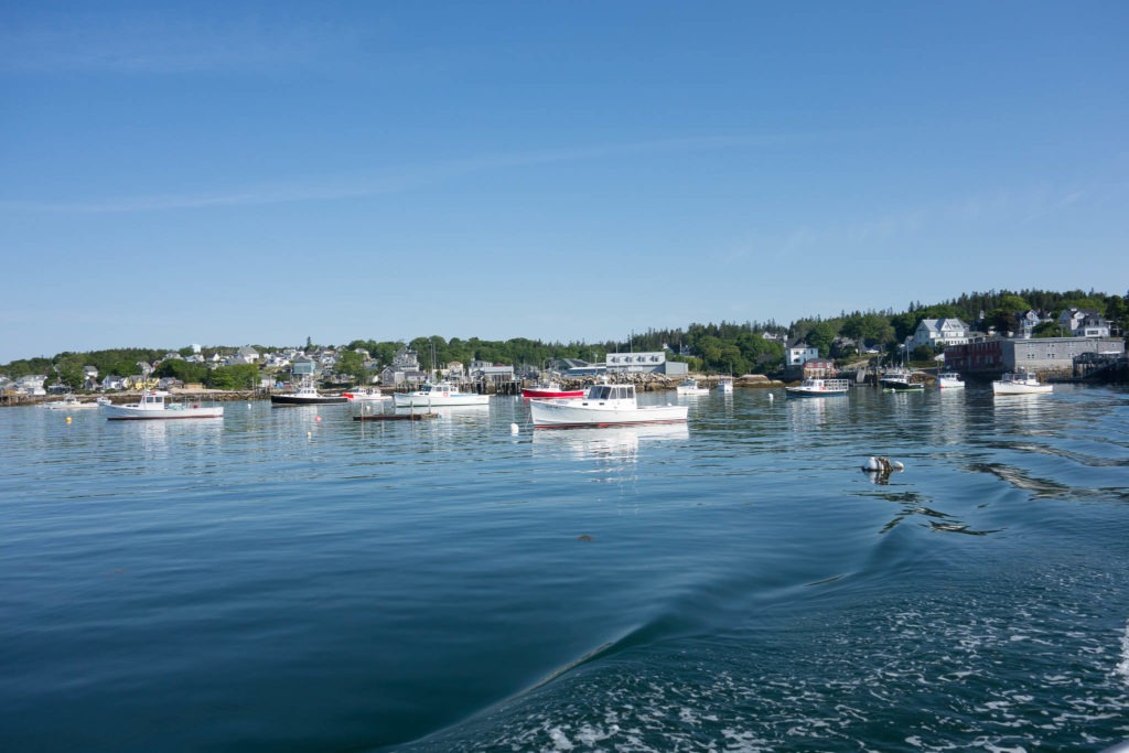 Acadia: Stonington from mail boat