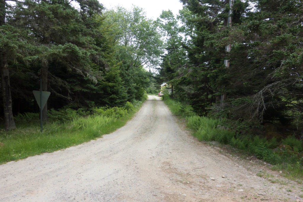 Acadia: Unpaved road to Thunder Gulch