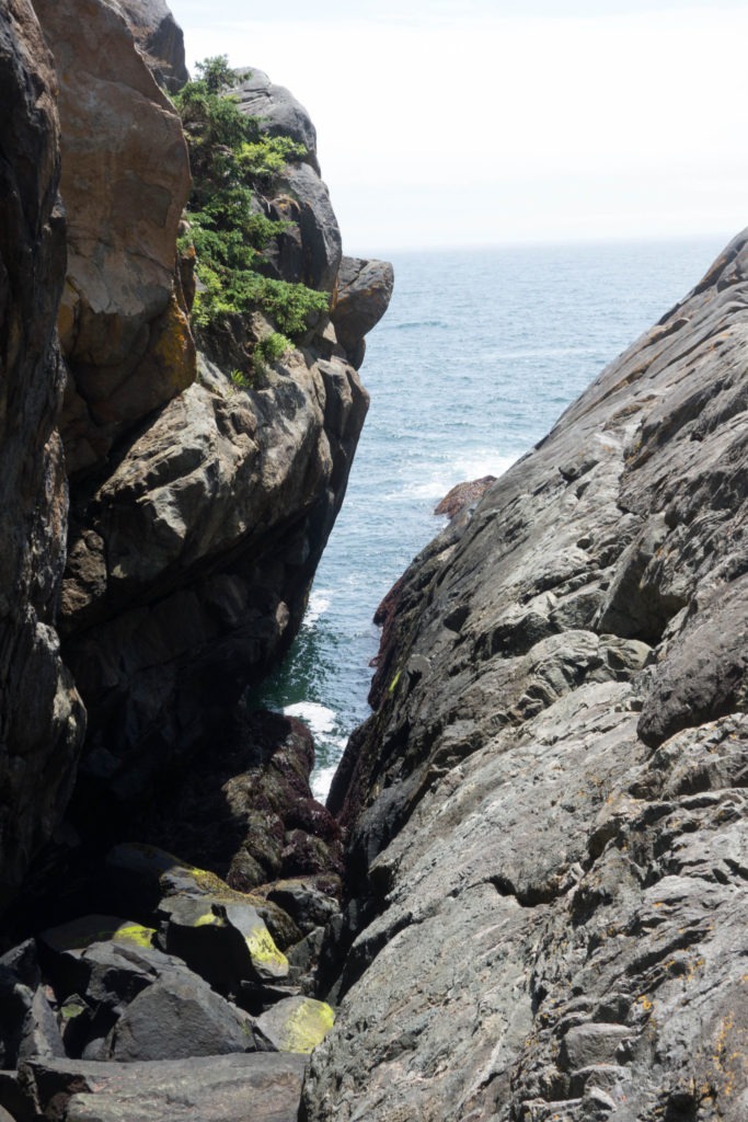 Acadia: Closeup of Thunder Gulch