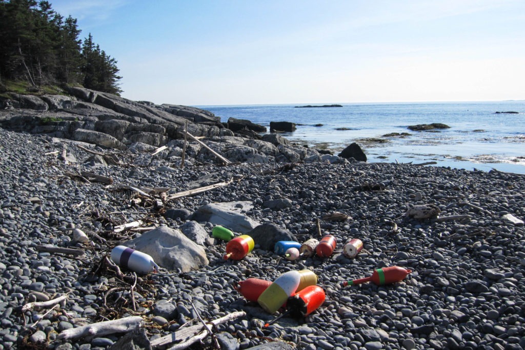 Acadia: Buoys on Beach