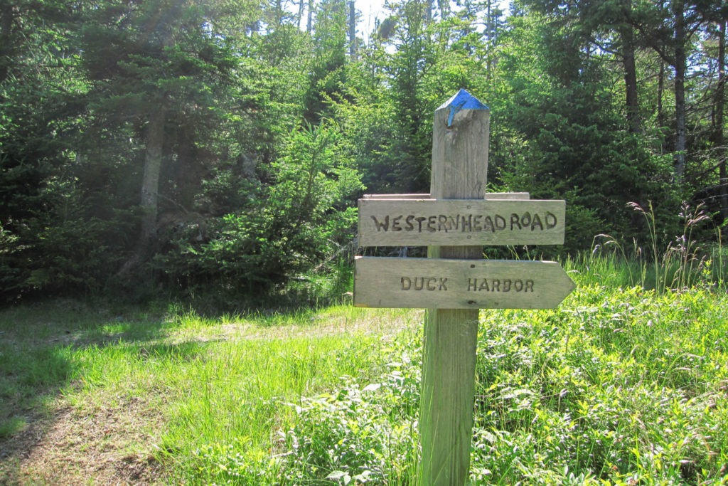 Acadia: Western Head Road