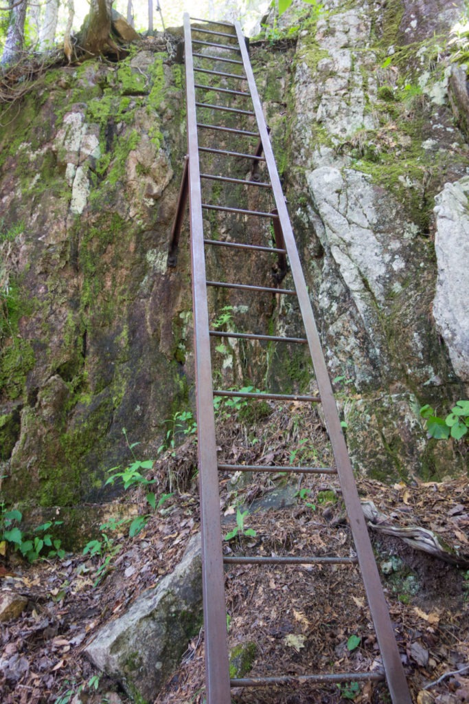 Acadia: Beech Cliffs Trail Ladder
