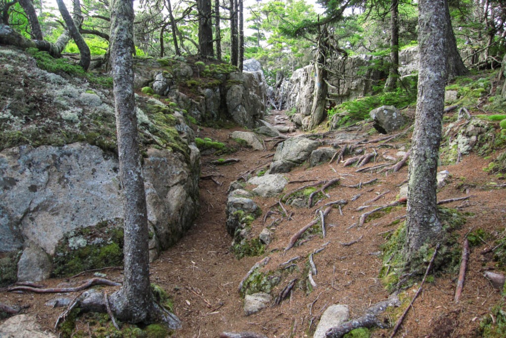Acadia: Hiking on the Anvil Trail in Schoodic