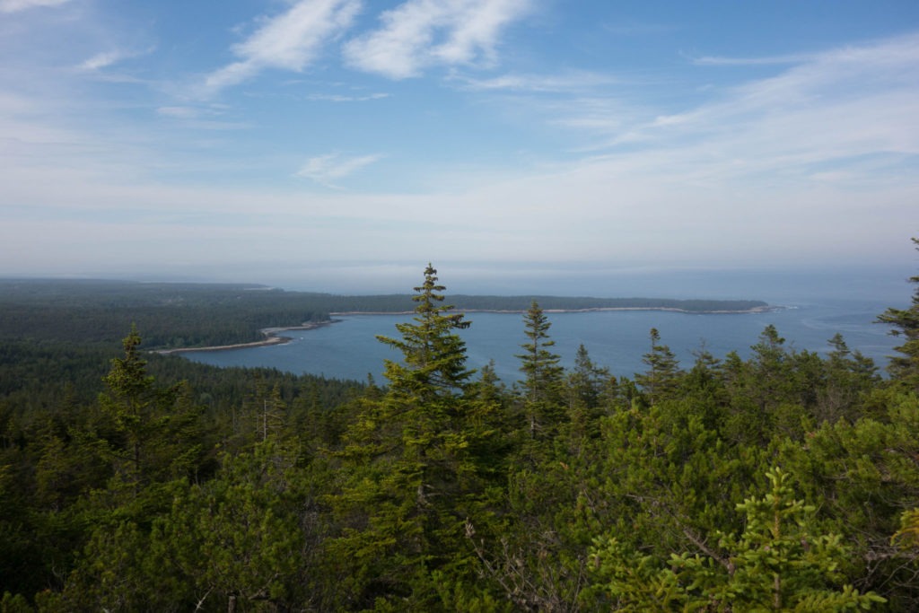 Acadia: Schoodic Head View