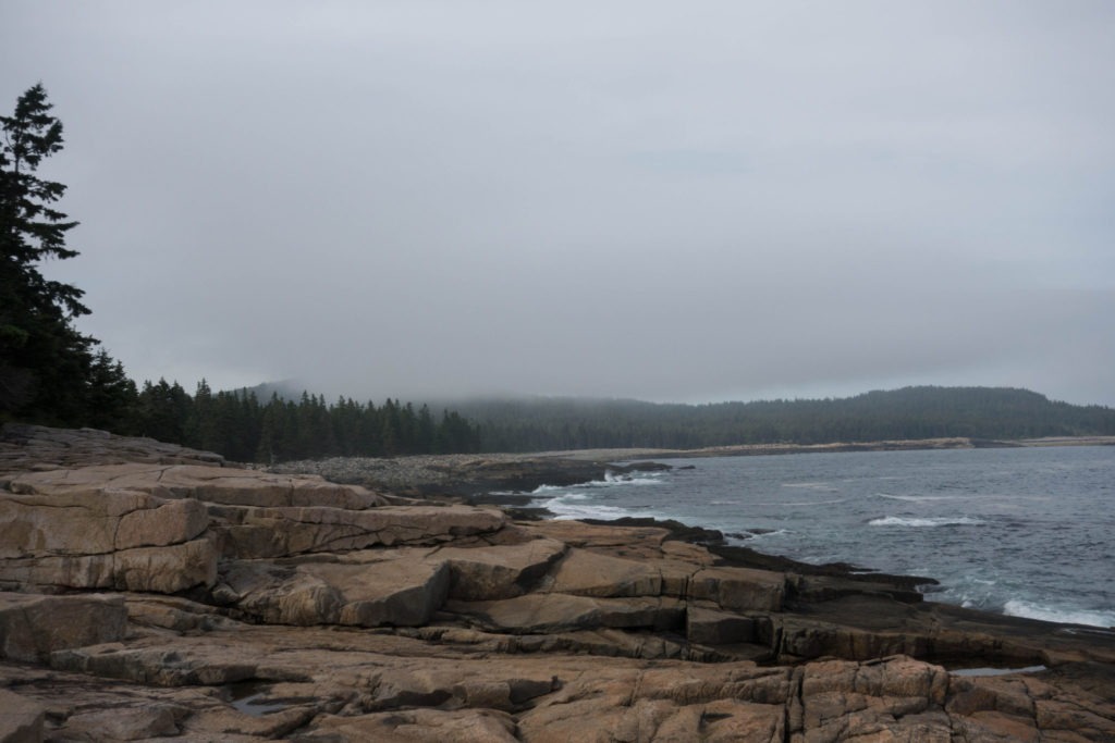 Acadia: Another View at Schoodic Point