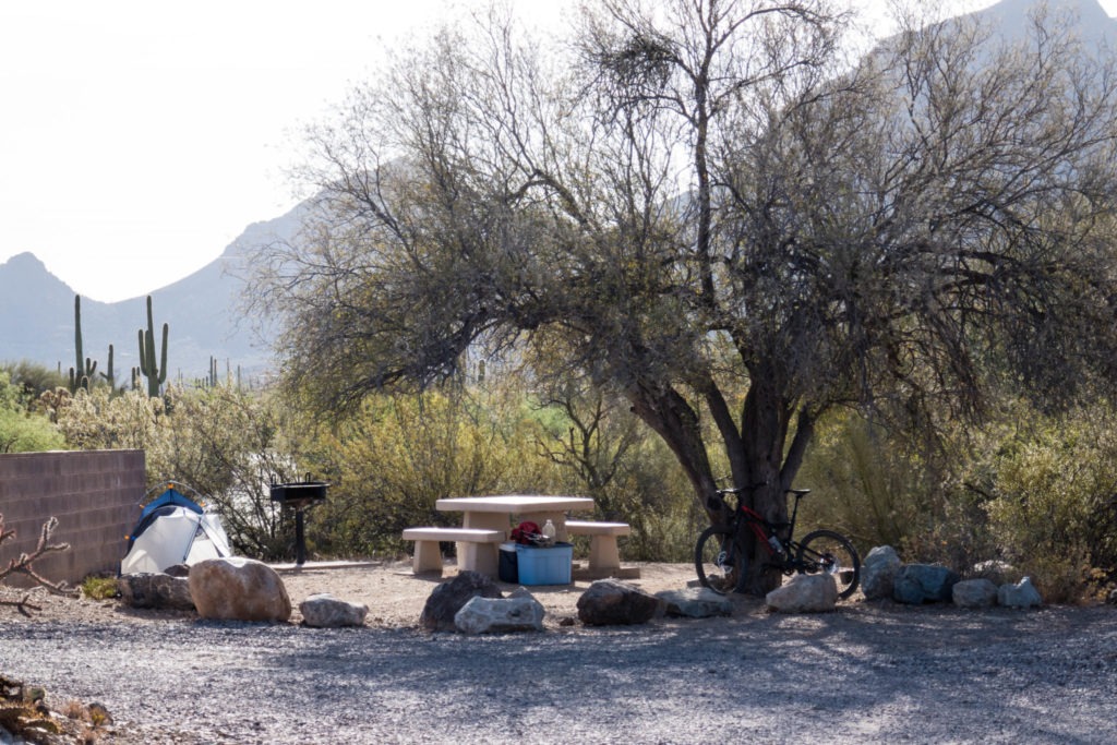 Saguaro: Gilbert Ray Campground Site B3