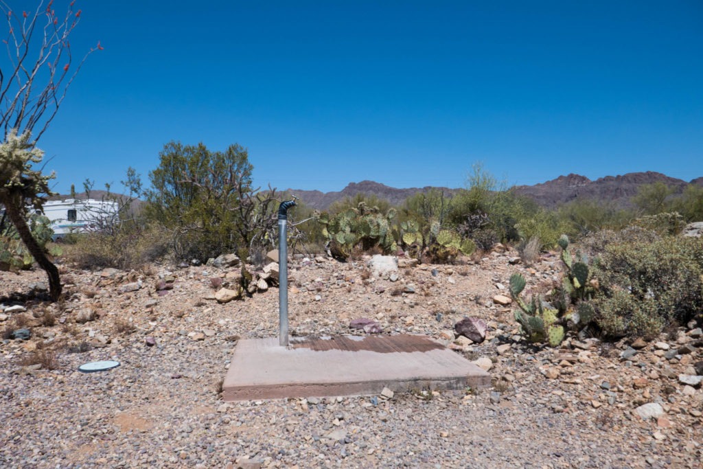 Saguaro: Water at Gilbert Ray Campground