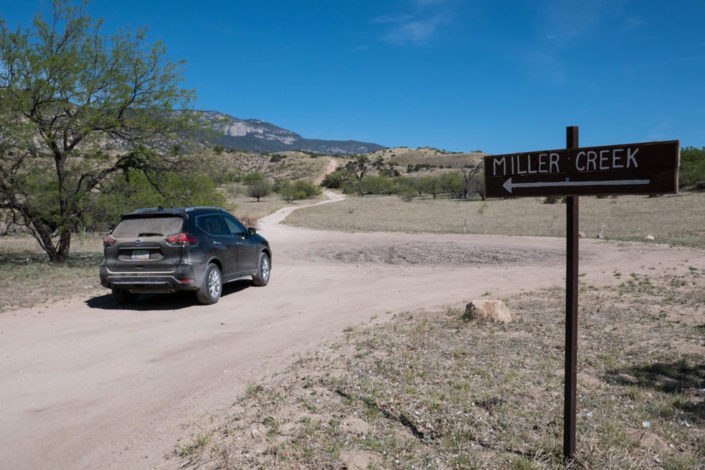 Saguaro: Miller Creek Trailhead