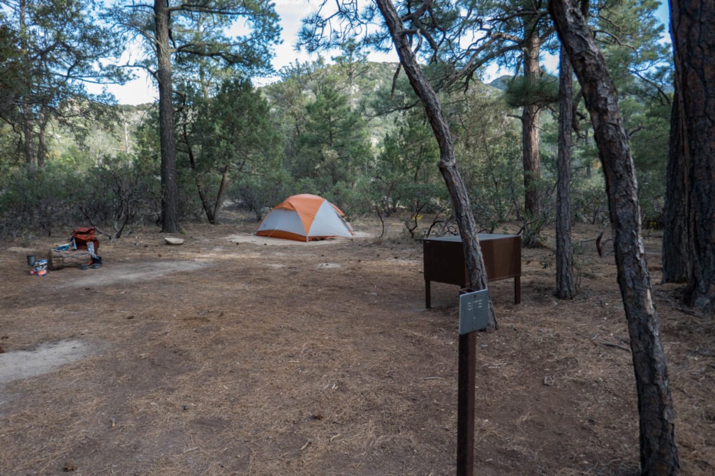 Saguaro: Happy Valley Campground - Site 1