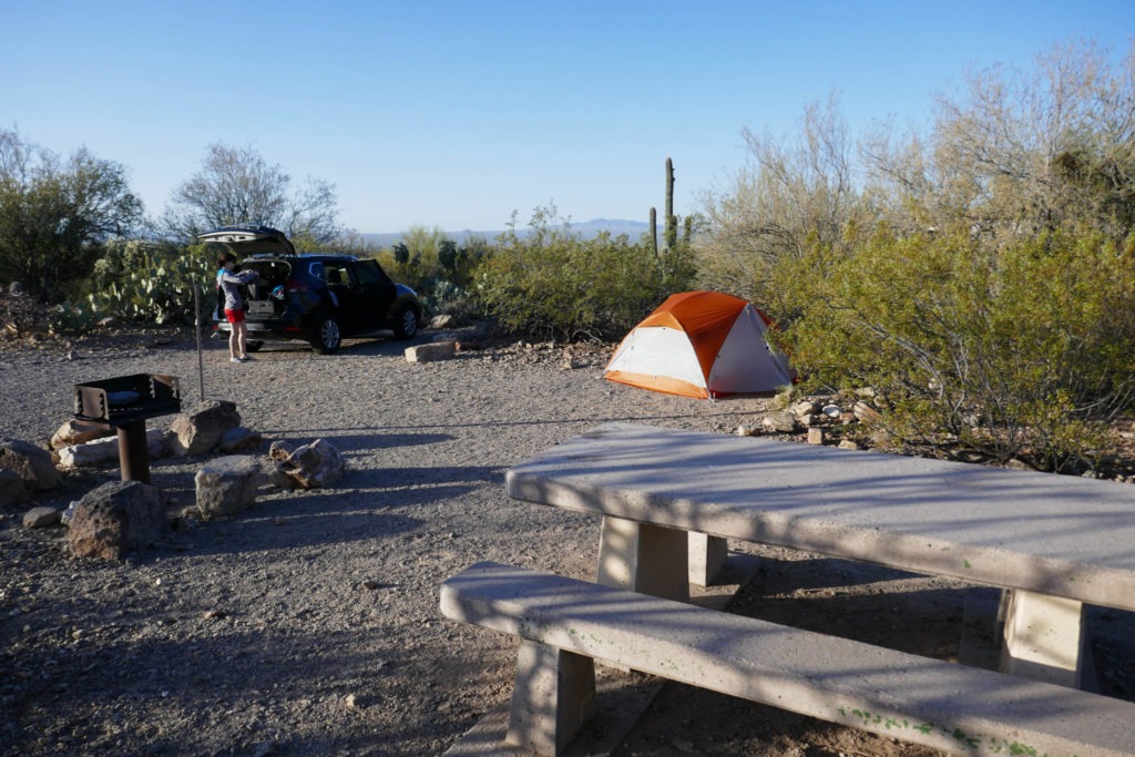Saguaro: Our campsite at Gilbert Ray Campground