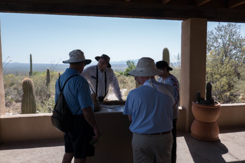 Saguaro: Docent about Saguaros at Arizona-Sonora Desert Museum