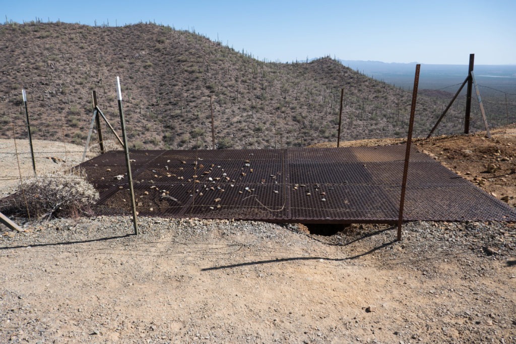 Saguaro: Gould Mine Shaft
