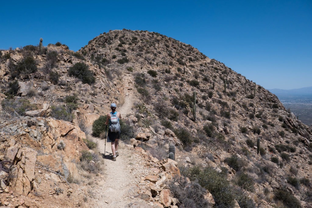 Saguaro: Kristin going up to Wasson Peak