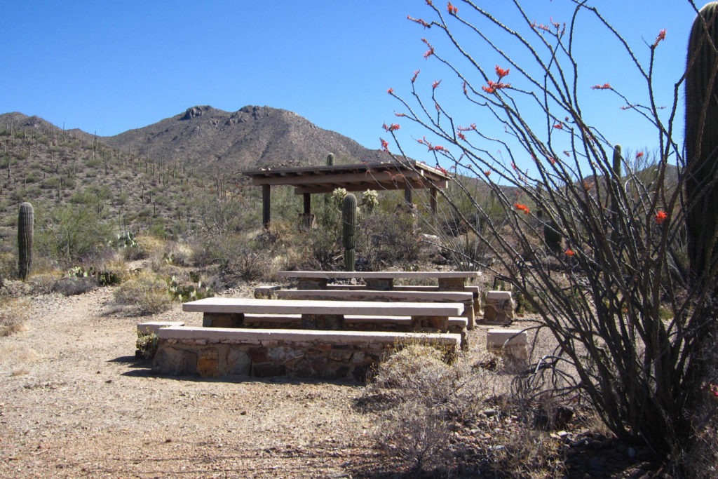 Saguaro: Mam-A-Gah Picnic Area