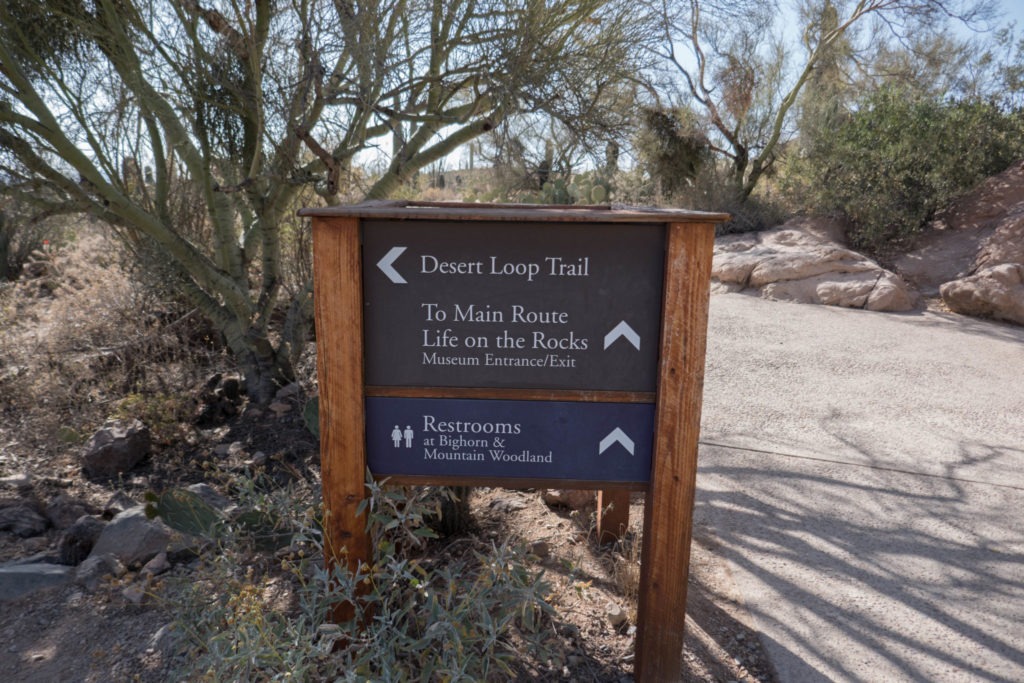 Saguaro: Desert Trail Sign at Arizona-Desert Museum