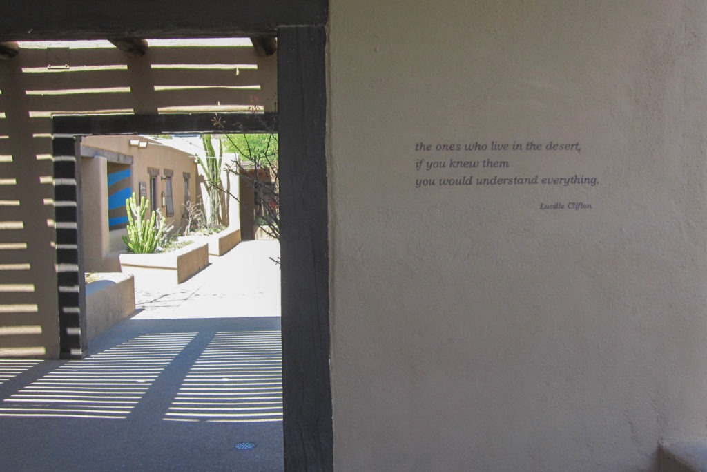 Saguaro: Arizona-Sonora Museum Building Quote