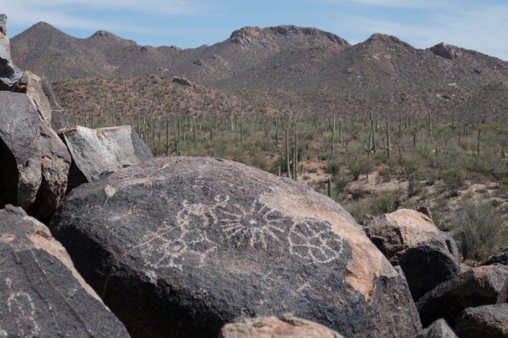 Saguaro: Other Signal Hill Petroglyphs